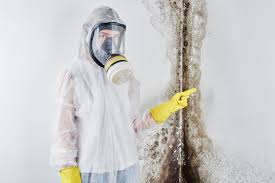 Best Mold Prevention Services  in Mountain View, CA